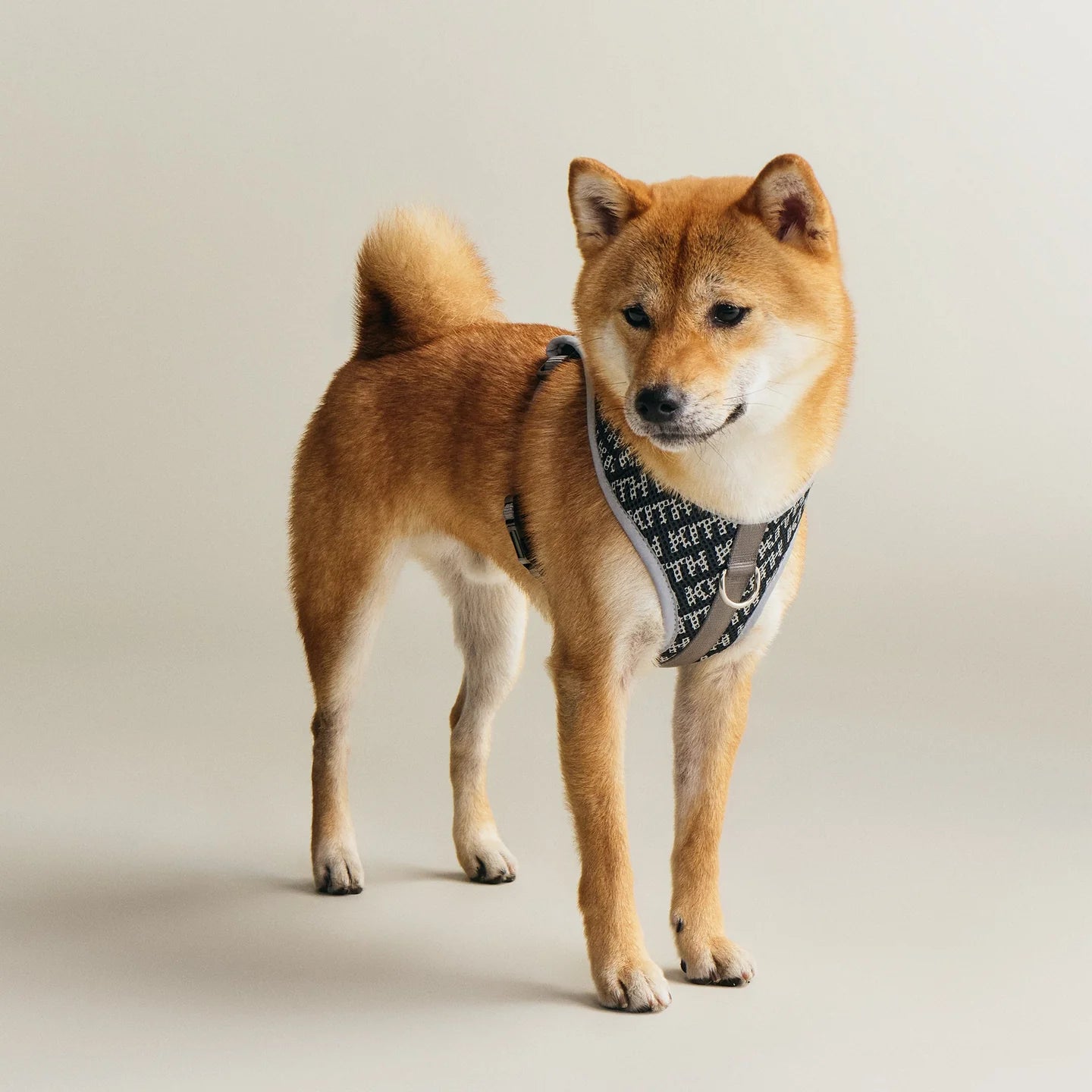 Kith for wagwear Padded Harness