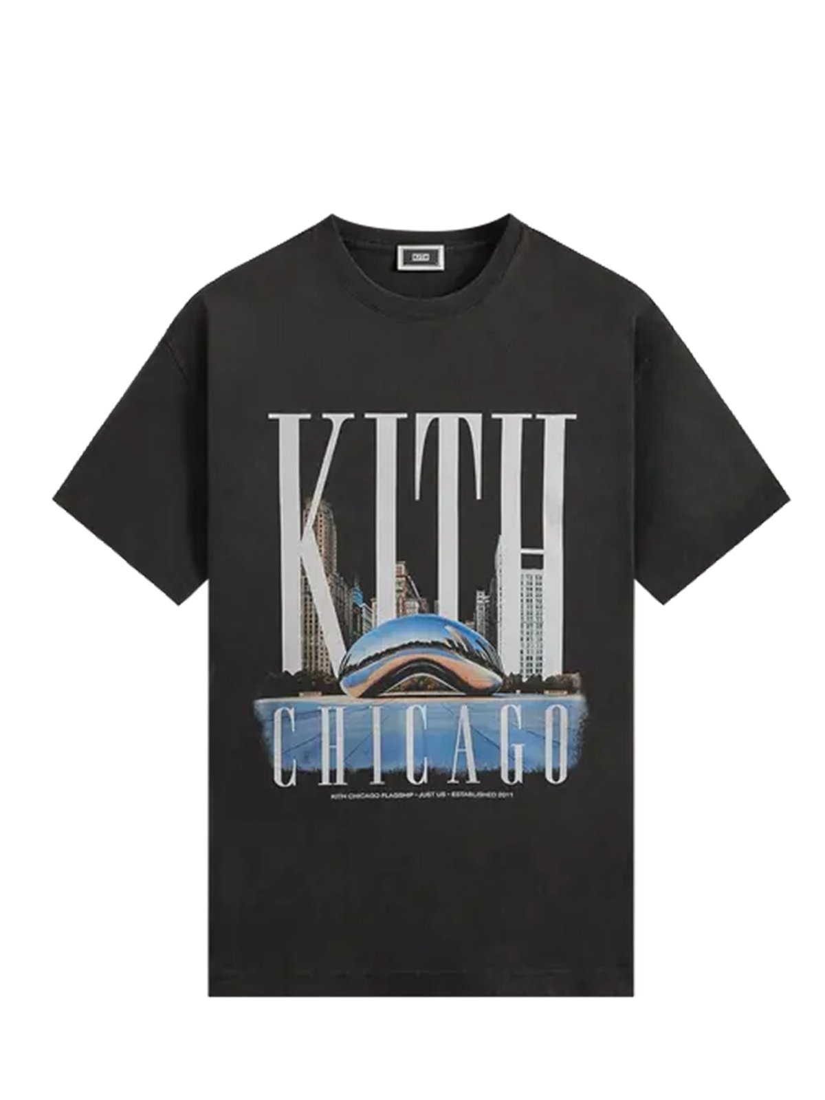 Kith Millennium Park Vintage Tee 'Black'